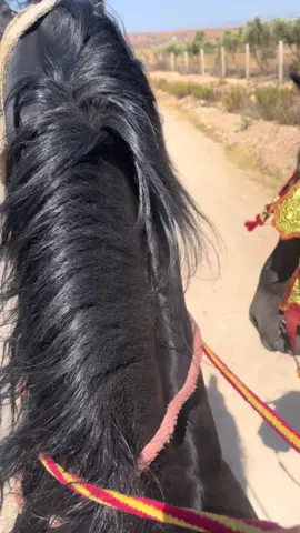 Return from season  #pvp #1millionaudition #perte #❤️❤️‍ #خيل🐎 