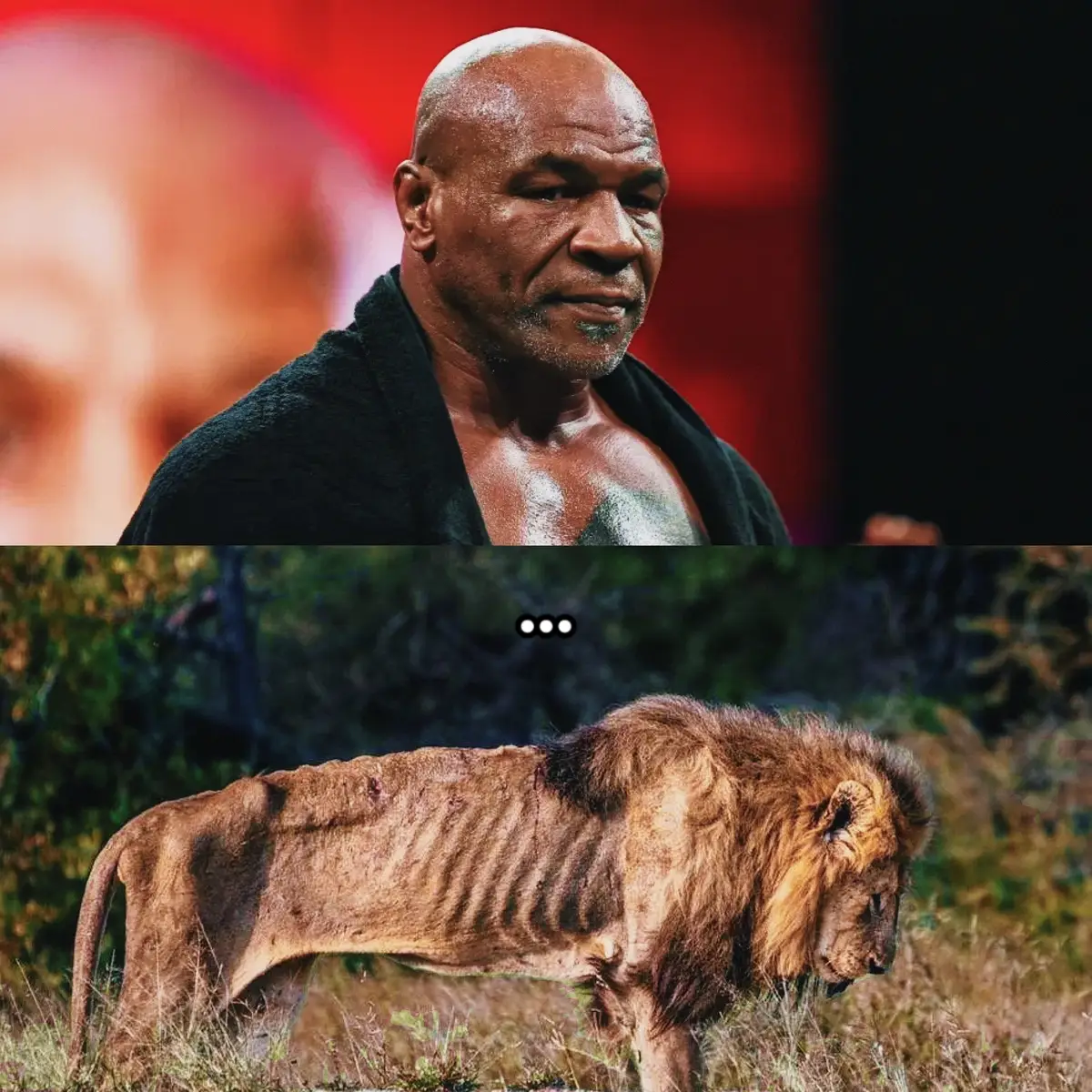 He went into one last battle. Mike prepared and fought valiantly for a man his age and tried, but Time caught up to him, like it catches up to all of us. Mike, you can rest now 🩶 #miketyson #miketysonboxing #boxing #paulvstyson #jakepaul #fyp 