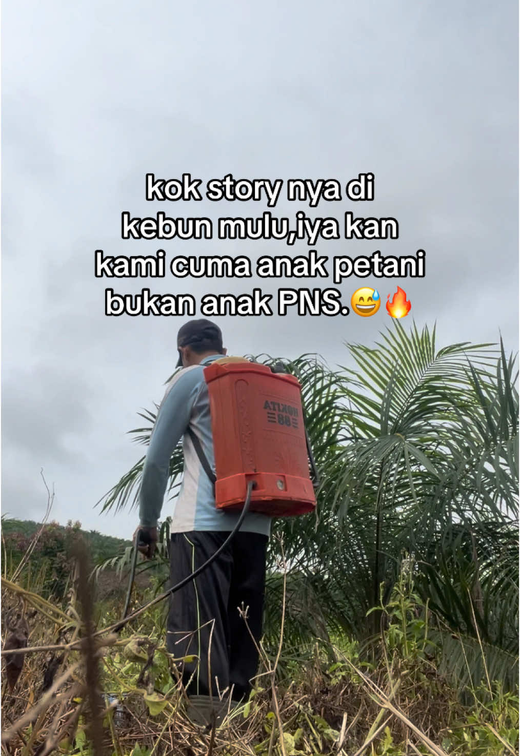 #petanimuda #pekerjakeras #petanimilenial #petanigenz #fyp #petaniindonesia🇮🇩🇮🇩🇮🇩🌿🌿 