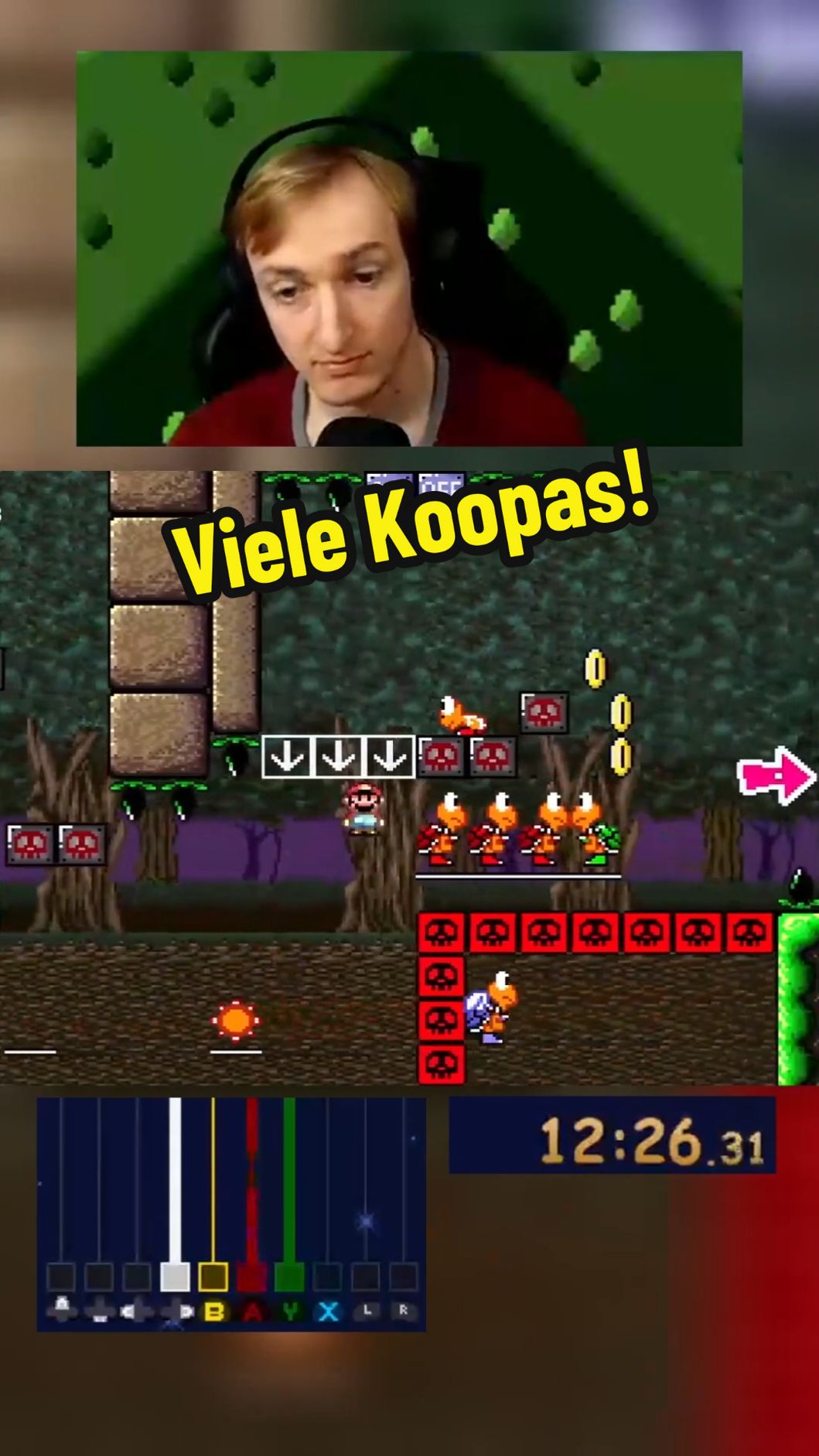 Viele Koopas und Motorskills, was will man mehr?! Cubes Kaizo World 5 Level 7 #gaming #smw #supermarioworld #kaizo #mario #retro #retrogaming #streamer #tiktok #tiktokgaming 