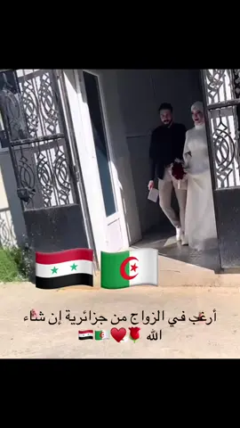 #الجزائر🇩🇿 #🌹 #syria🇸🇾 #dzair🇩🇿 #الجزائر🇩🇿_algeria #الجزائر🇩🇿_تونس🇹🇳_المغرب🇲🇦_فلسطين🇵🇸 #♥️