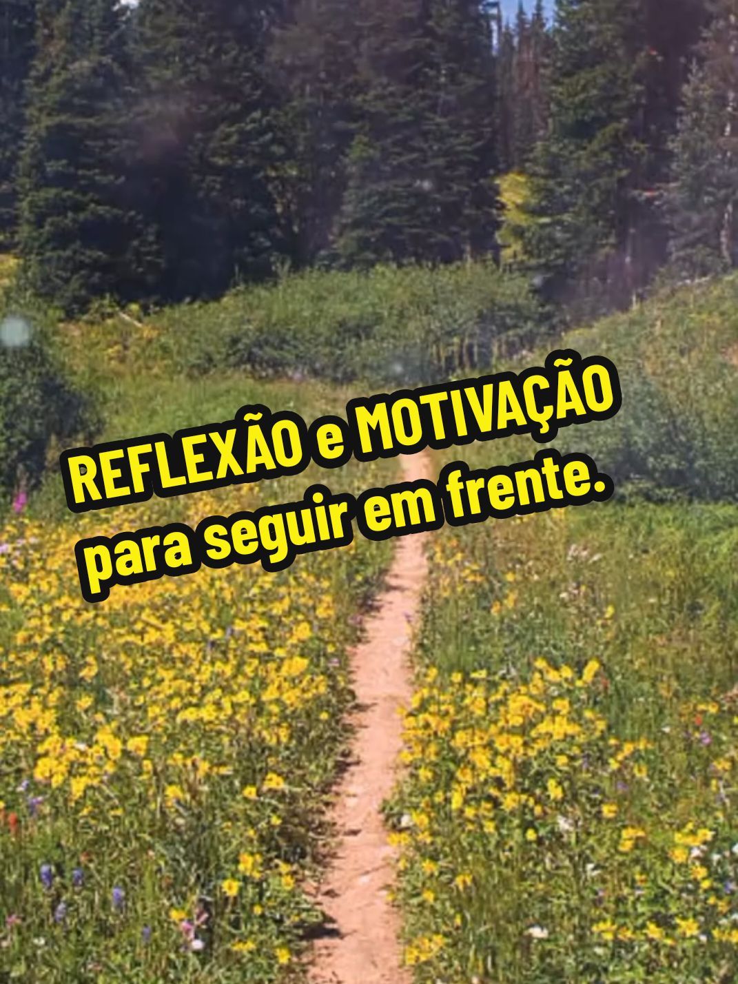 REFLEXÃO e MOTIVAÇÃO  para seguir em frente. #creatorsearchinsights  #REFLEXÃO #MOTIVAÇÃO #textoparalevarparavida #sigaemfrente 