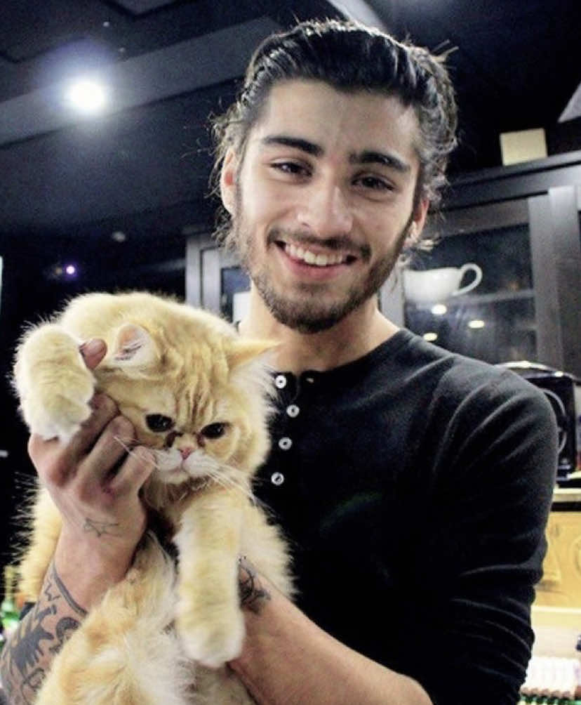 oh .. i think i’m loving this one more 🙁🙁 | #zaynmalik #fypシ゚viral #viralvideos #onedirectiontiktok #foryoupage #xyzbca #foryoupage #blowthisup #fangirl #trending #1D #goviral #directioner #trend #fypage #onedirection #zayn #real #paratii #boyfriend #reposting 