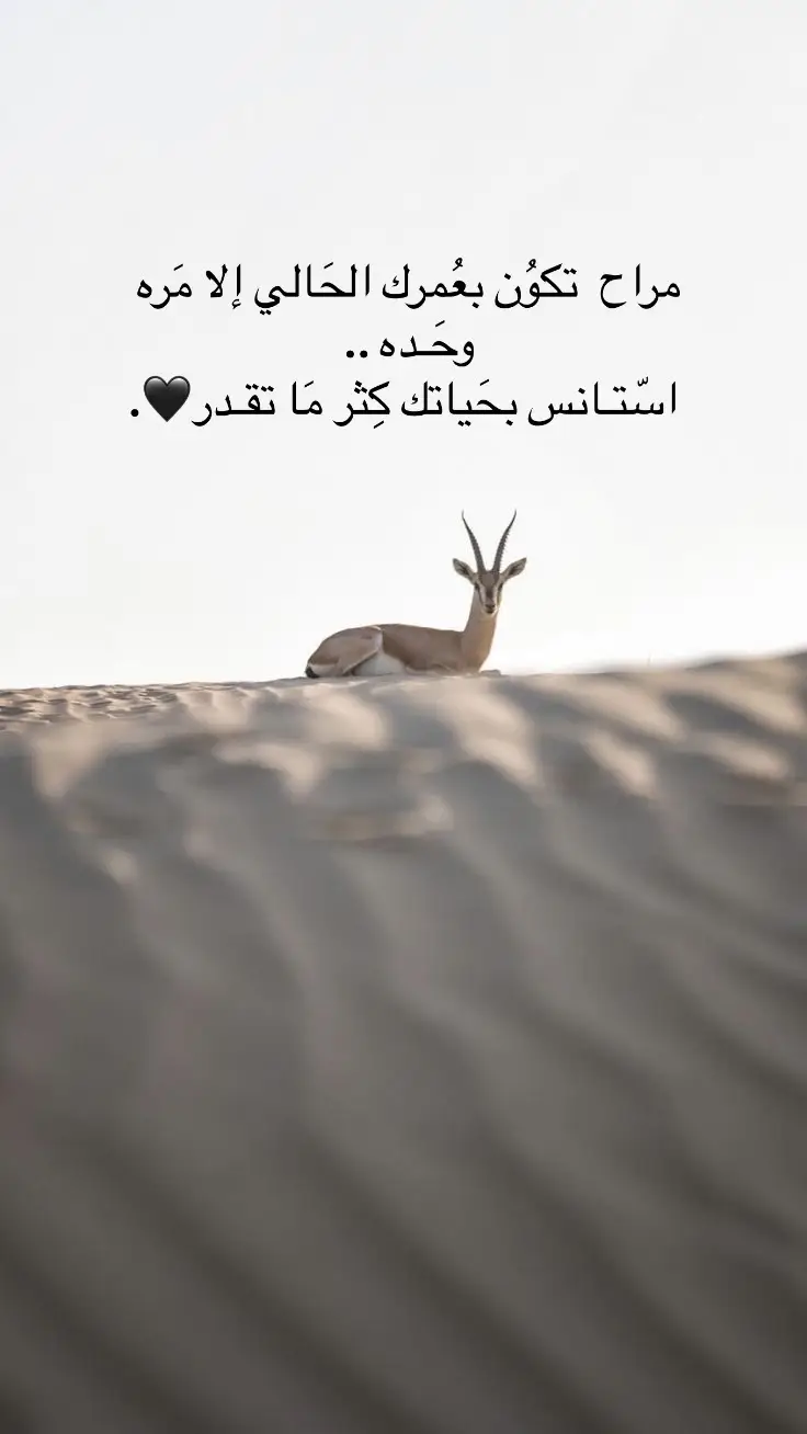 #خواطر_للعقول_الراقية #اكيبلور_explore 