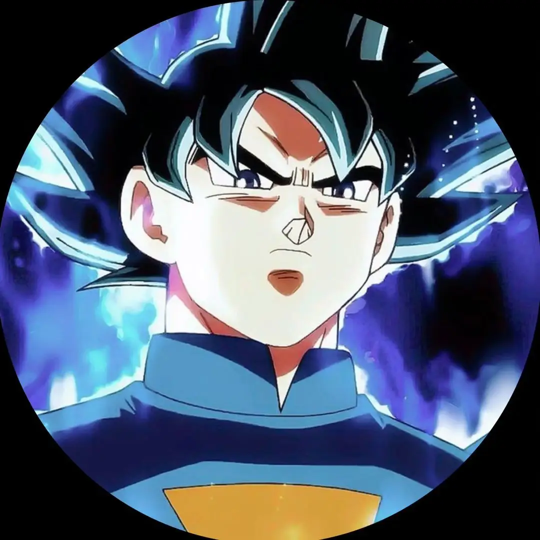 Profile DBZ #profile #dragonball #gokuultrainstinto 