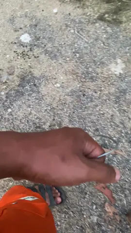 Sayei blako masoaloh nyo😅 #fypシ #fypシ゚viral #tiktok #tik_tok #foryoupage #foryou 