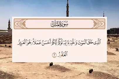 #سورة_الملك  #قرآن #شعر #قصيدة  #ابو_فراس_الحمداني  #دواوين_شعر  #ديوان  #الحياة #الموت #خاتمة #حسن_العمل #السعودية #الكويت  #البحرين