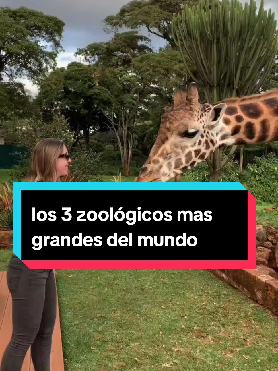 los 3 zoológicos mas grandes del mundo  #mundocurioso🌎 #zoologico 