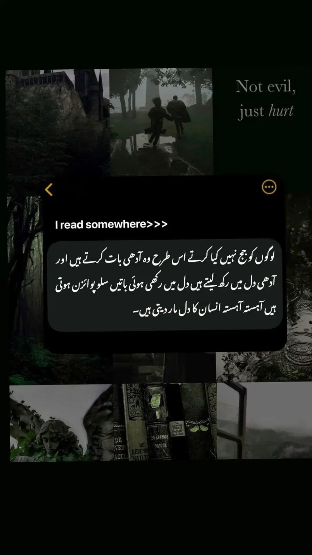 خالی ذہن، معمولی موضوع، منافق معاشرہ، ایک ناکام دنیا، خالی جذبات، جھوٹی محبت، مارے گئے خواب، دِکھاوے کی دوستی، دھوکہ، تباہی، لعنتیں، جنگیں، اس غلیظ دنیا کی ایک جھلک جس میں ہم رہتے ہیں...🖤🥀 #foryou #poetry #viewproblem #foryoupage #viralpoetry #trending #lucky__girl71 #viral #whatsappstatus #viewproblem #twolineshayari #shayari #fyp #foryou 