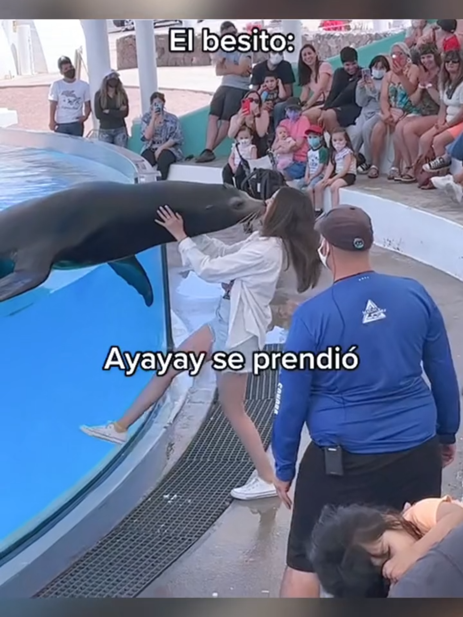 #dolphin #dolphinshow #dolphins #animalshow #loveanimals #treanding #viral