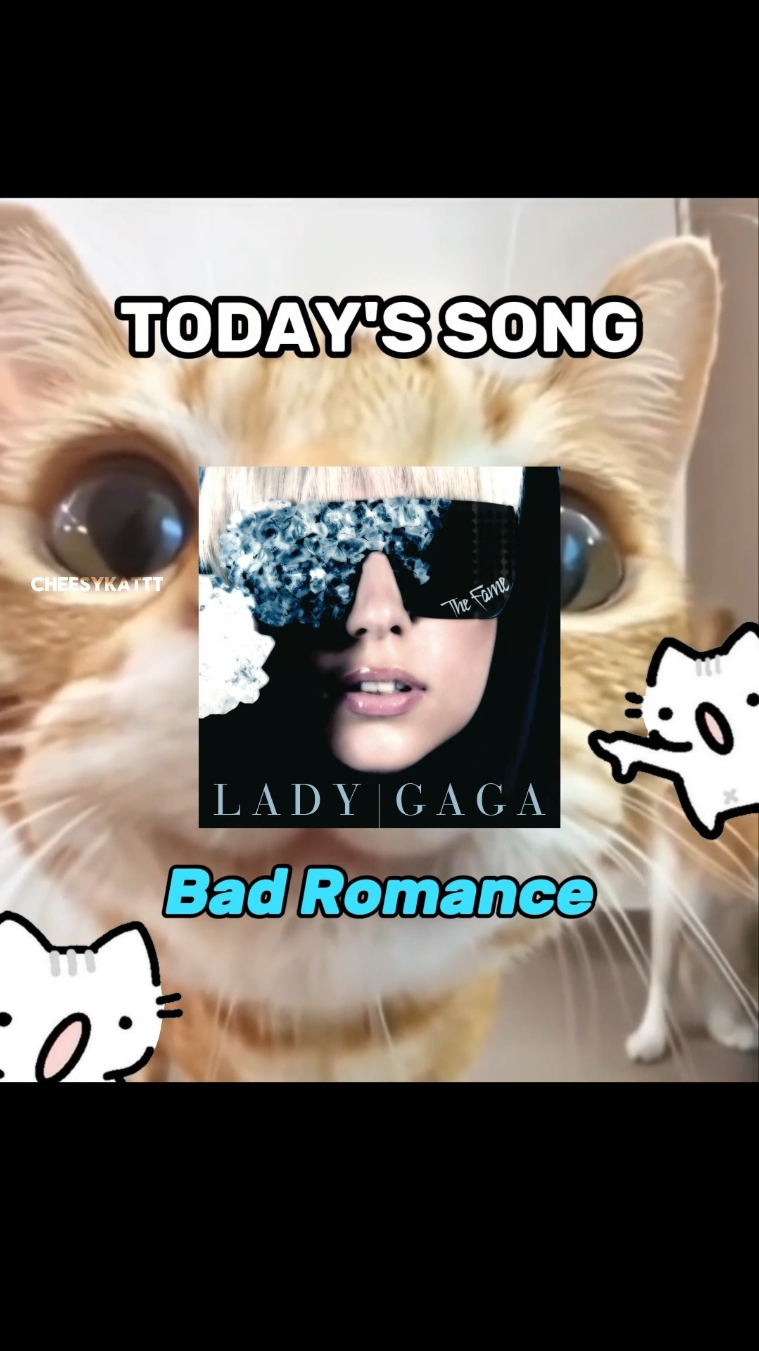 Cats have a bad romance 🗣 . #fyp #cats #catsoftiktok #catlovers #kitten #ladygaga 