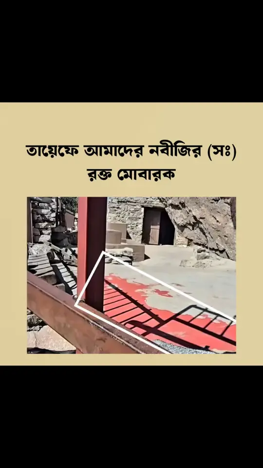 তায়েফে আমাদের নবীজির (সঃ) রক্ত মোবারক#ইসলামিক_ভিডিও #islamic_video #bdtiktokofficial🇧🇩tiktokboangladesh🇧🇩 #🤲🤲🕋🕋 