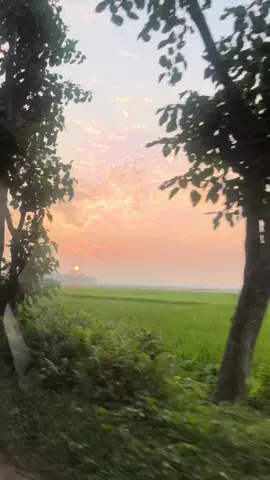Whata beautiful sunset #bangladesh🇧🇩 