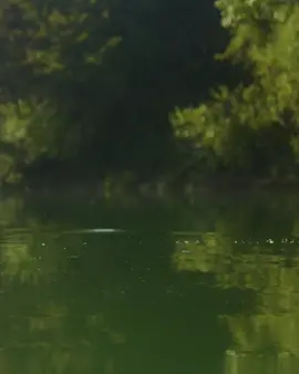 Beautiful video made by Lewis Porter! @Team Korda 📽🎣👌 @carpworldonlineofficial  #carpvideography #korda #carp  #jumpingfish #carpreels #fyp  #karpfen #carptok #carpworld #carpe  #jumpingcarp #karper #kordaofficial #nature #fishtok  #viral_video #beautifulvideo #follow #underwatertiktok 