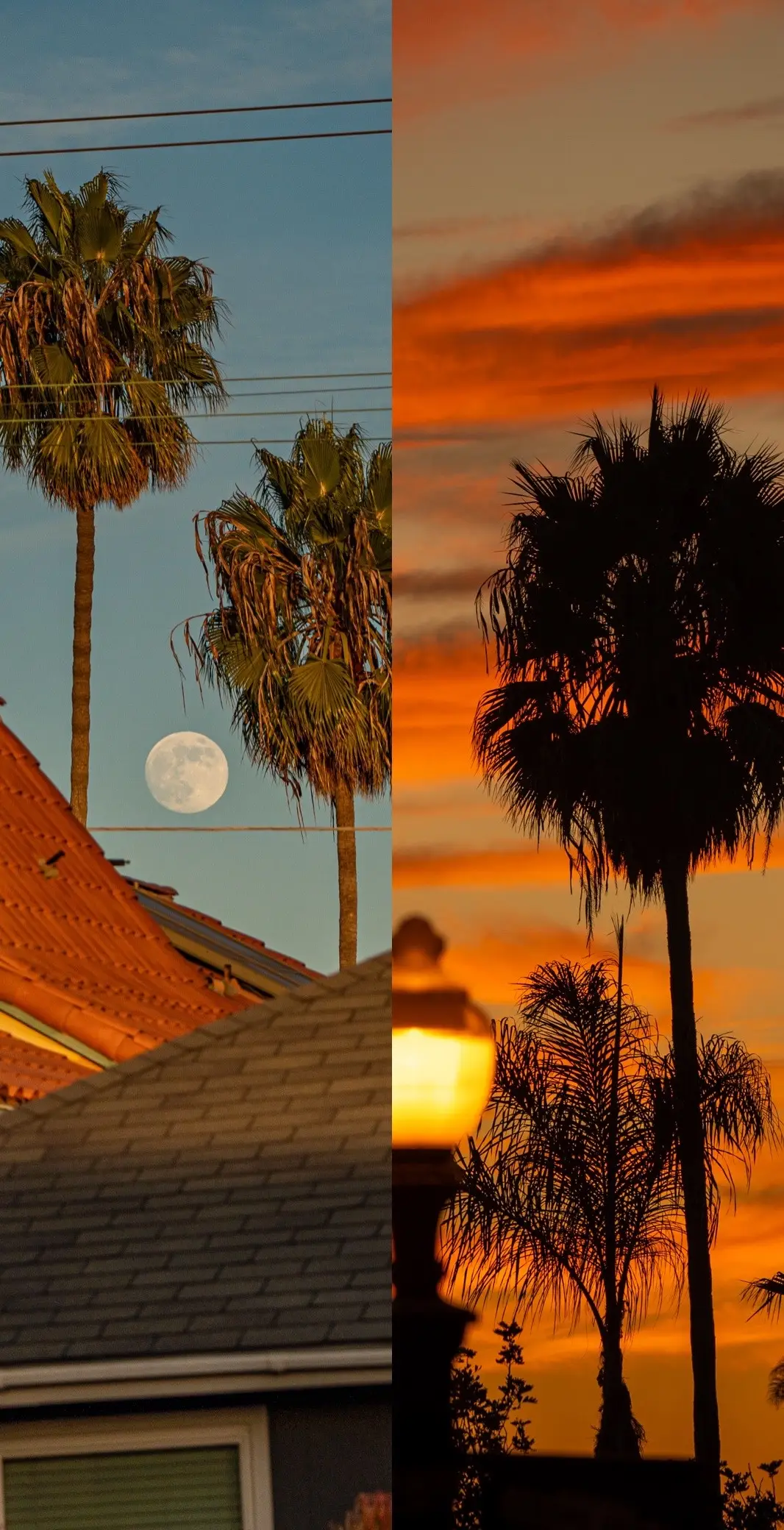 The moon rises as the sunsets  #fullmoon #moon #sunset #goldenhour #sandiego #photography #photographer 