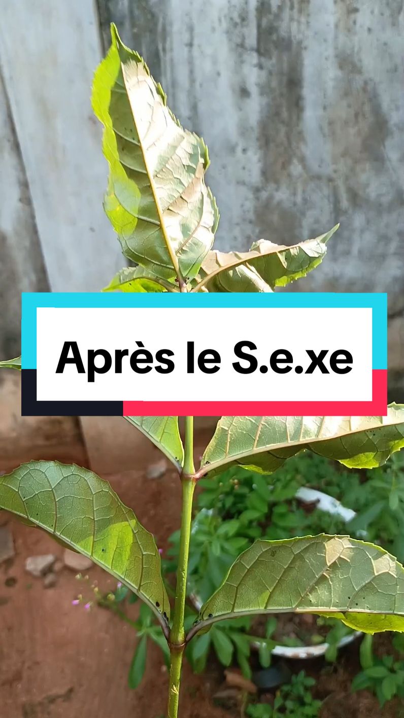 astuce et recette #astuce #recette #togolais228🇹🇬 #benintiktok🇧🇯 #cotedivoire🇨🇮 #gabon🇬🇦 #camerountiktok🇨🇲 #congobrazzaville242🇨🇬 #rdcongo🇨🇩 #france🇫🇷 #paris #tchadienne🇹🇩 #canada_life🇨🇦 #usa🇺🇸 #belgium🇧🇪 #burkinafaso🇧🇫 #kinshasa🇨🇩 #abidjan225🇨🇮 #guineenne224🇬🇳 #senegalaise_tik_tok #mali #europe #afrique #dakar #senegalaise_tik_tok #viraltiktok #diaspora 