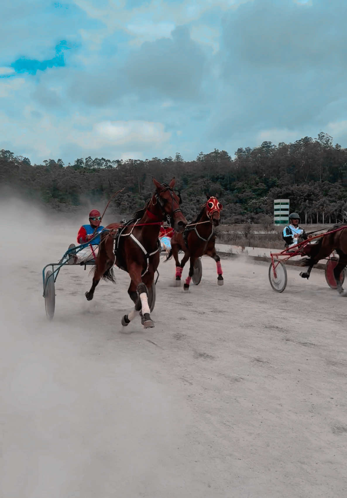 Cantiga SR #horse #corrida #speedsongs #standardbred #fyp #americantrotter🇦🇷🇧🇷 