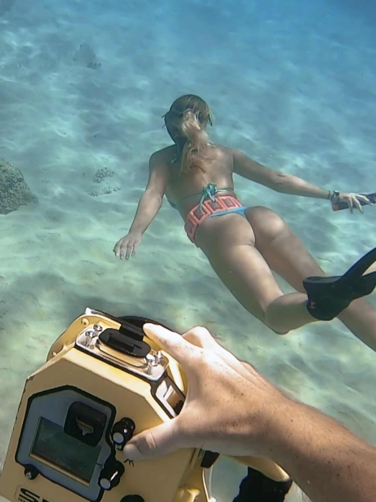 You were lied to about coral reefs #stem #coralreef #marinebiology