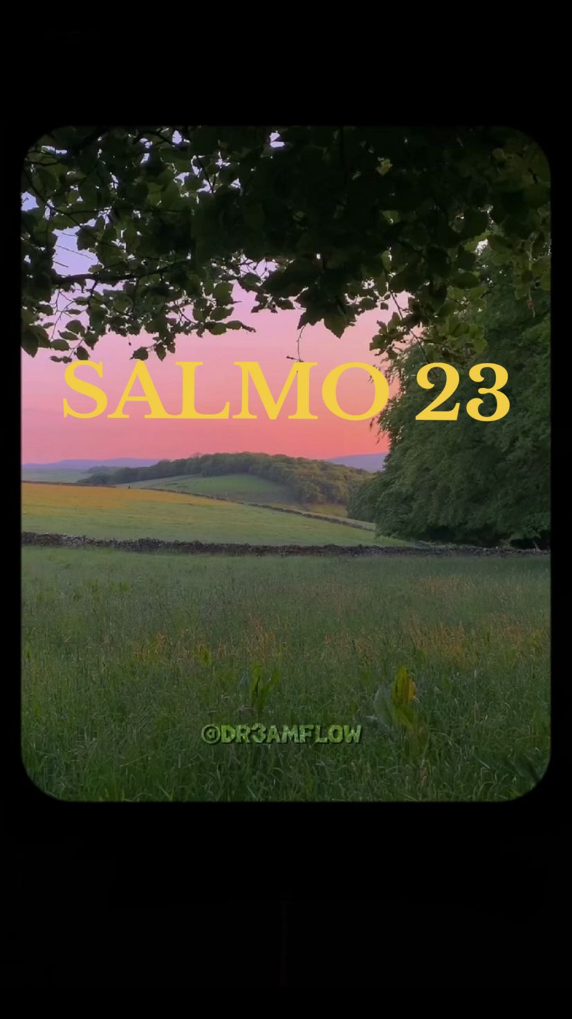 O Salmo 23 apresenta Deus como um pastor que guia, protege e supre as necessidades de seus fiéis. Ele oferece conforto em momentos difíceis e garante bênçãos e segurança para sempre. #reflexao #vaiprofy #jesus #amor #salmo23 #vairalvideo #deus 