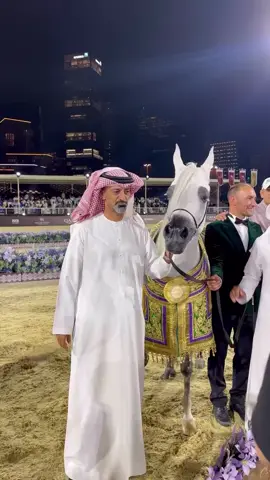 #الامارات_العربية_المتحده🇦🇪 #سمو الشيخ عمار بن حميد النعيمي #عجمان 