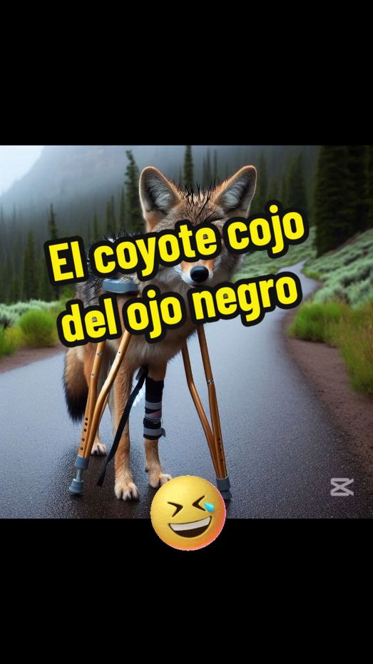 El coyote cojo del ojo negro #felicidad #humor #viralvideo #risas 