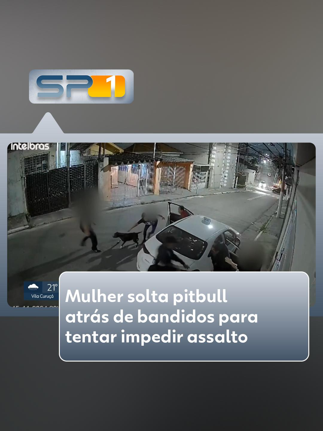 Uma moradora da Zona Leste de São Paulo, colocou um pitbull para correr atrás de criminosos que assaltavam a família dela na noite desta sexta-feira. O caso foi por volta das 20h30, quando a família de um taxista chegava em casa depois de fazer compras no mercado. A esposa dele abria o portão de casa, do outro lado da rua, quando viu os parentes serem abordados por três criminosos. A mulher correu pra dentro da casa e, logo, voltou para a rua, com o cachorro da família, um pitbull, que estava com coleira e guia. Ao se aproximar, ela soltou o animal e ele partiu pra cima dos criminosos, que fugiram. Eles conseguiram levar uma bolsa com documentos e dois aparelhos celulares. Leia mais no #g1. #pitbull #penha #sãopaulo #tiktoknoticias