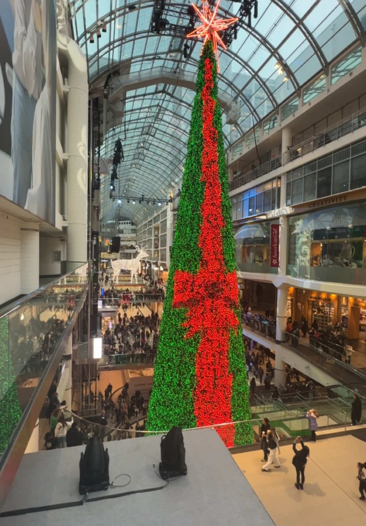 Christmas Tree Show at Toronto Eaton Centre #TorontoEatonCentre   #ChristmasTreeShow   #TorontoChristmas   #HolidaySeason   #FestiveVibes   #ChristmasInToronto   #EatonCentre  #ChristmasTree #TorontoEatonCentre #TorontoEvents #ChristmasInTheCity #HolidayDecor #SeasonalDisplay #FestiveCheer #FestiveActivities #TorontoAttractions #CanadianChristmas #ChristmasTime #HolidayShopping #UrbanChristmas #TorontoLife #ChristmasInCanada #TorontoCulture #SeasonalInstallation #HolidayDisplay #ChristmasSpirit #TorontoPhotography #ChristmasInTheNorth #CanadianHolidays #TorontoTourism #SeasonalExhibition #TorontoSights #ChristmasDecor #TorontoChristmas #SeasonalActivities #christmasfun #viral   #trending   #fyp   #explorepage   #instaviral   #mustwatch   #goingviral   #tiktokviral   #trendsetter   #viralvideo   #popular   #sharethelove   #tiktokfamous   #getnoticed   #viralcontent   #foryou   #foryoupage   #tiktokchallenge   #tiktokdance   #funnyvideos   #comedy   #lifehacks   #howto   #motivation   #inspiration   #contentcreator   #videooftheday   #entertainment   #musicvideo   #DIY   #creativecontent   #memes   #relatablecontent   #storytime   #Foodie   #fashiontips   #beautyhacks   #fitnessgoals   #travelvlog   #PetsOfTikTok   #familytime   #dailyvlog   #skits   #pranks   #tutorials   #behindthescenes   #smallbusinessowner    #supportsmallbusinesses   #torontoshopping #shoppingintoronto #torontomalls #mallsintoronto #torontoretail #torontofashion #torontostyle #torontolifestyle #shoplocaltoronto #exploretoronto #torontoboutiques #torontodeals #torontodiscounts #torontosale #torontoshopaholic #torontofinds #torontoapparel #torontogifts #torontomarket #torontosouvenirs #torontofashionista #torontoootd #mallshopping #mallratlife #mallvibes #mallhaul #mallfinds #mallstyle #mallfashion #malldeals #mallshopper #malladdict #mallculture  #WinterWonderland   #TorontoEvents   #ChristmasDecorations  