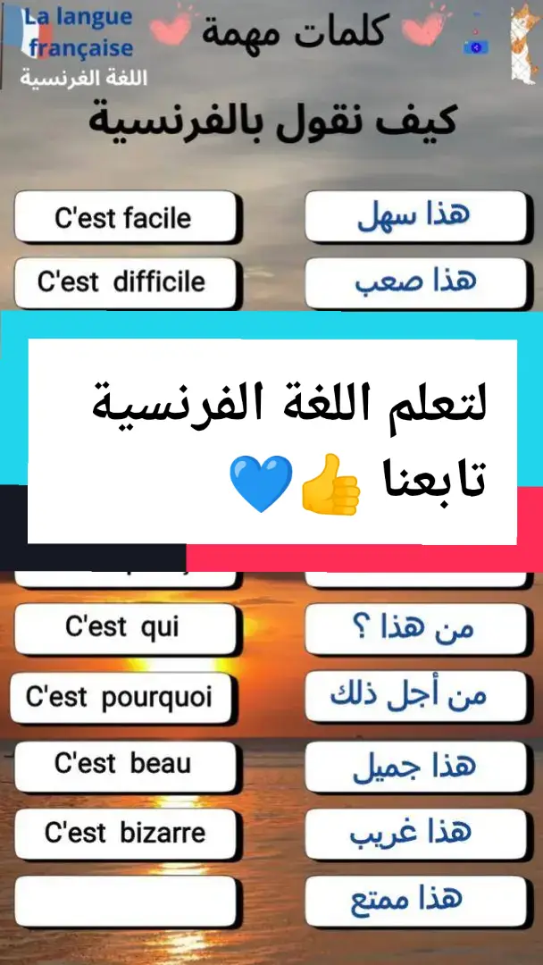 #تعلم_الفرنسية_للمبتدئين #تعلم_الفرنسية #تعلمالفرنسيةبالدارجة #تعلمالفرنسيةللمبتدءين #apprendrelefrançais #apprendre #lafamille #laphrase #lesjoursdelasemaine #العائلة #الفرنسية_بطلاقة #الفرنسية #مفردات #مفرداتبالفرنسية #vocabulairefrançais #vocabulaires 