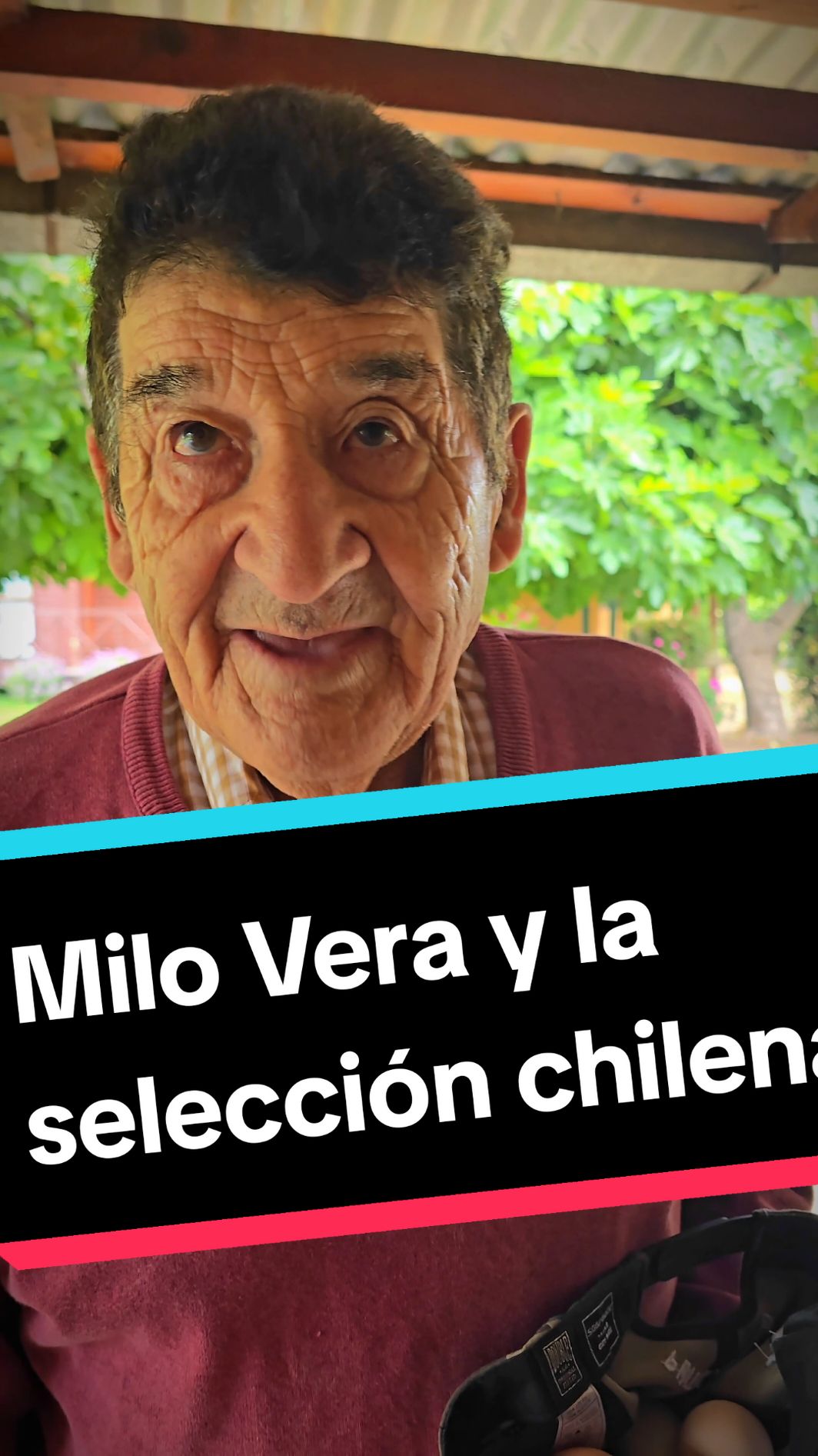 Milo Vera y la selección chilena, su opinión luego del pobre empate 1 a 1... De pasadita aprovecho de alimentar a sus regalonas 🐔🐓 y sus gatas 🐱🐈 y también aprovecho de sacar los huevitos del día 🥚🍳 Chile Cladifica al mundial?? #gallinas #gallinasfelices #huevodecampo #abuelotiktoker #vidadecampo😍🤠 #tatas #milovera #chile🇨🇱 #historiasdecampo #milovers #seleccionchilena #chile #vidal 