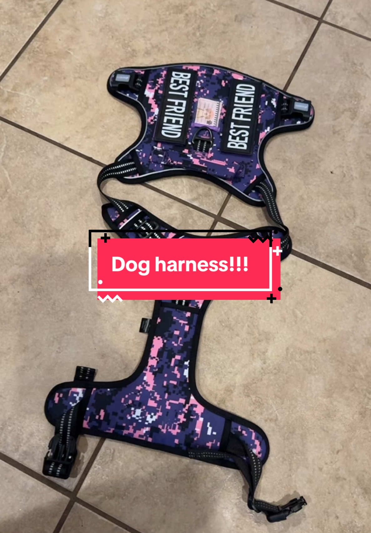 This harness is adorable!! #rescuedogarmy #rescuedogs #rescuedogarmystrong #shelterdogs #fosteringsaveslives #houstonwegotaproblem #thisishouston #rescuedogarmy❤️ #shelterdog #thisistexas #texas #houston #texasdog #houstonwehaveaproblem #rescuedog 