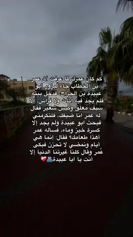 عمر بن الخطاب - ابو عبيدة #fyp #virel #foryou #fypシ #smile #fypシ゚viral #islam #humanity #solidarity #الشعب_الصيني_ماله_حل #foryoupage 