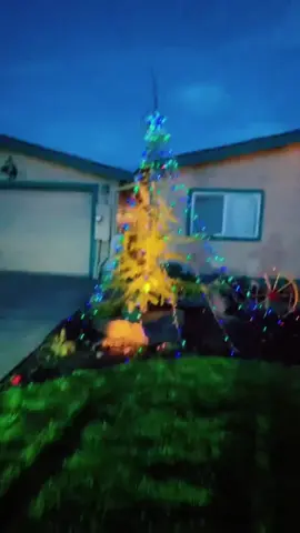 Solar Christmas Tree Lights