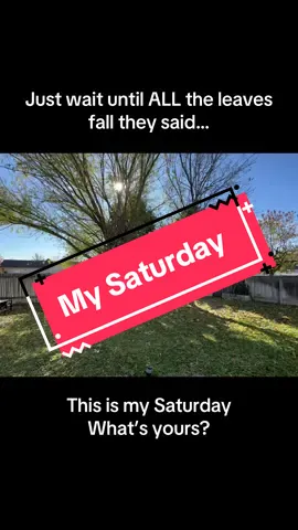 Anyone else absolutely HATE raking leaves?  Willow trees are the worst!!!! #saturday #chore #fallleaves #yardwork #girlmom 