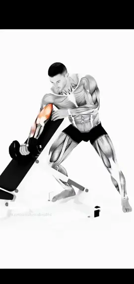 Curl del predicador a un brazo, con mancuerna#Rutina #Gimnasio #mancuernas #Fitness #entrenamientoonline #encasa