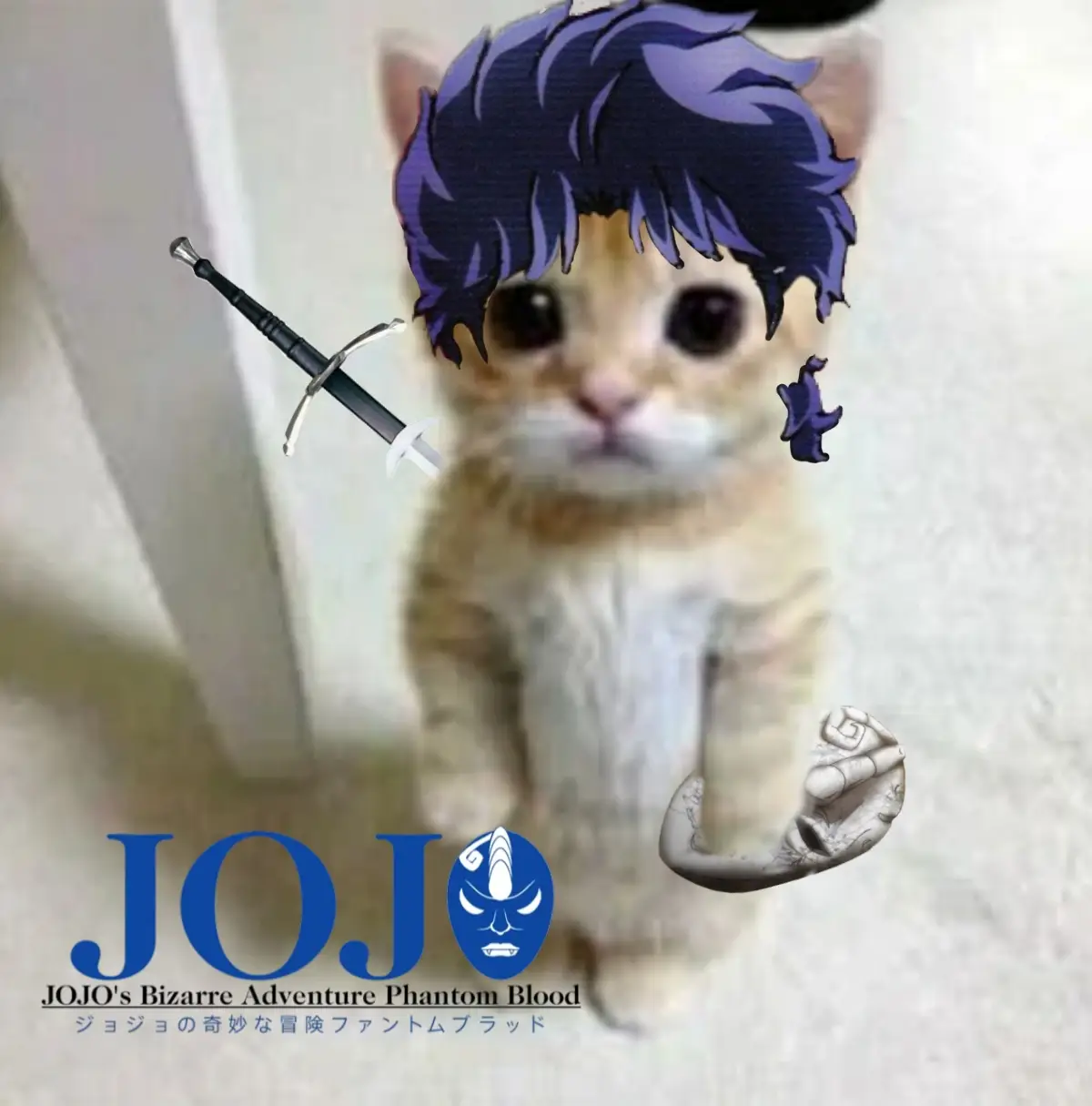 Miaou #jojo #jjba #jojo#cats