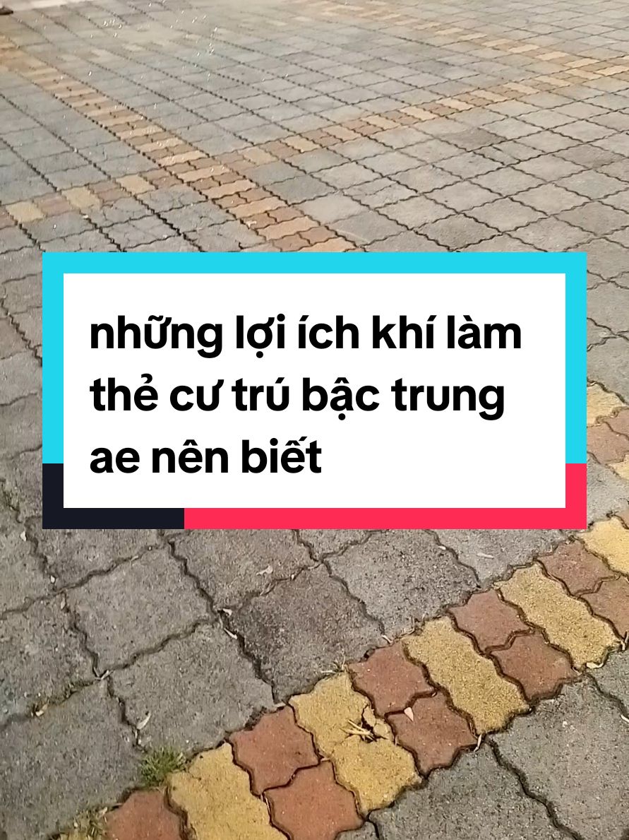 chúc ace kiếm thật nhiều tiền nơi đất Đài #cuocsongdailoan #trending #gg68taiwan #laodongdailoan #nguoivietnamtaidailoan🇻🇳🇹🇼 #dhsdailoan #laodongdailoan🇹🇼 #codaudailoan #xklddailoan