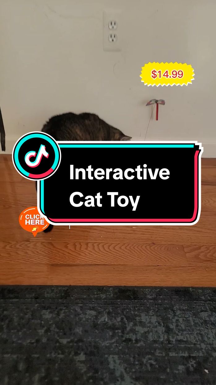 interactive Cat toy #interactivecattoy #cattoy #cattoys #spoven #toysforcats#tiktokshopblackfriday #blackfriday #blackfridaydeals #tiktokshopcybermonday #kitten #cats #catsoftiktok #kittensoftiktok #kittentok #TikTokShop #christmas #christmasgift #thanksgiving  ##creatorsearchinsights 