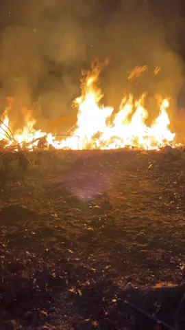 Aint gonna be no marshmallows roasting on that fire. #fyp #foryou #comedy 