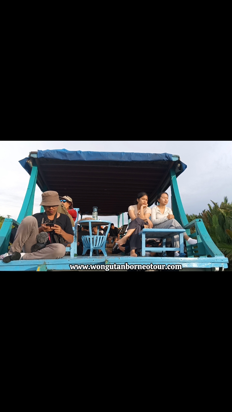 trip Tanjung puting national park. #orangutan #national #sound #soundviral #fyp #fypシ #dayakborneo #nature #dayakkalimantan #dayakcantik #dayakganteng #jungle #junglecruise #dayak #dayakviral #menunggu #menunggumu #peterpan #ariel #noah 