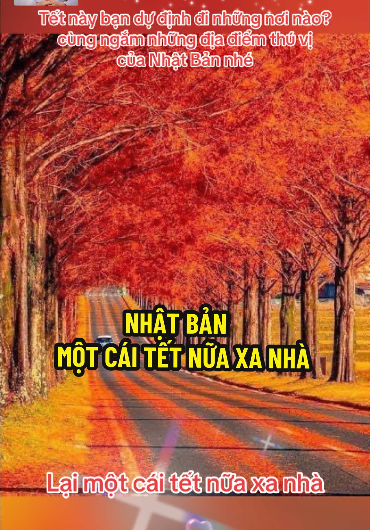 Lại một cái tết nữa xa nhà. #NhatBan #xanha #xkldnhatban #thinhhanh #xuhuong #MinhNgoc 