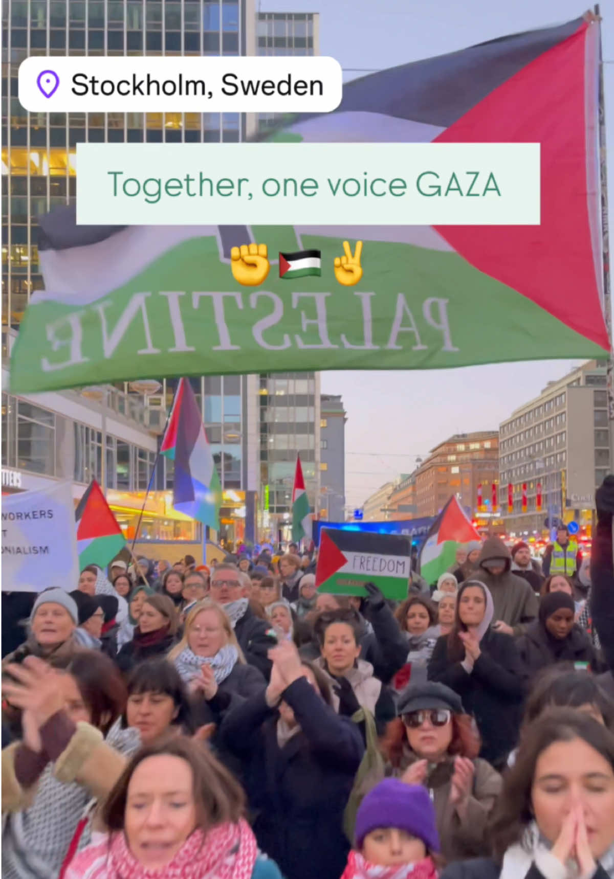 Together, one voice GAZA ✌️🇵🇸✊