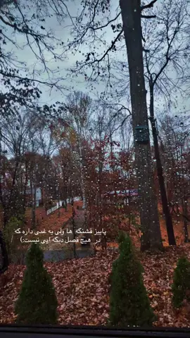 #explore #foryoupage #پاییز🍂🍁 #tiktok 