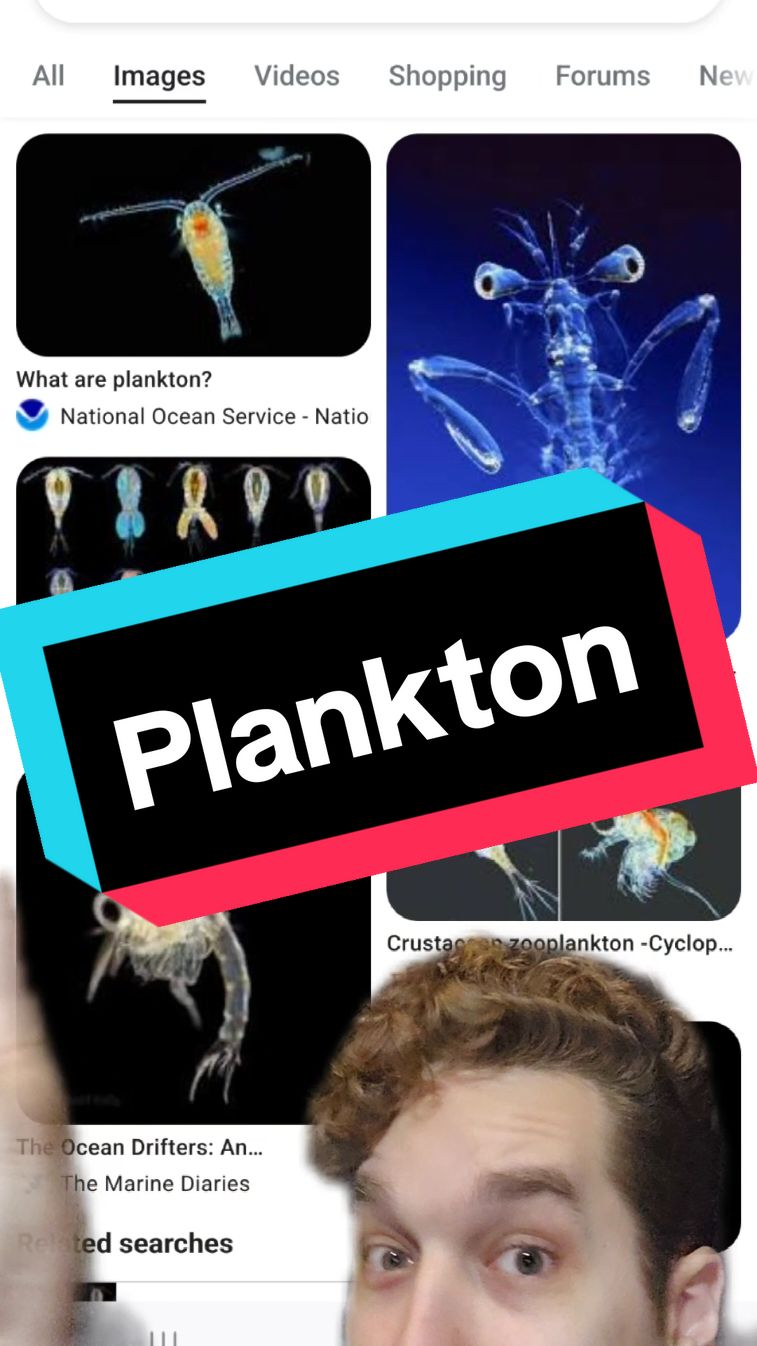 #biology #science #life #animals #plants #ocean #question #greenscreen #LearnOnTikTok 