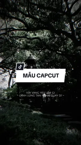 #CapCut Vội vàng yêu làm gì ? #capcutmaster #nhachaymoingay #xuhuong 