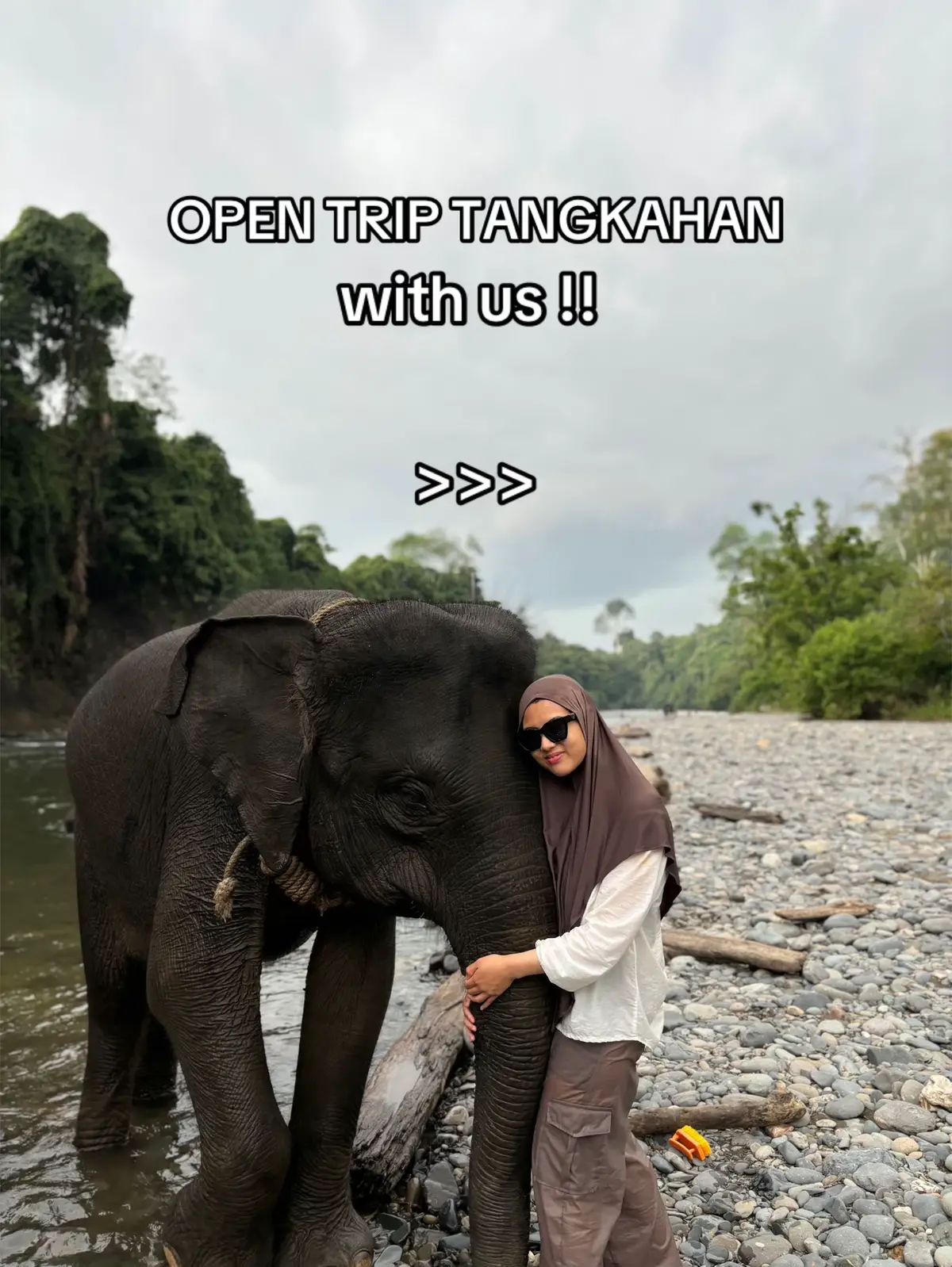 yuk explore the hidden paradise tangkahan with goes trip , dari Medan harga hanya 400.000 an aja . lets travel with uss , chat admin di link bio yaa  #traveling #tangkahanparadise #tangkahan #tangkahanlangkat #tangkahanecotourism #wisalangkat #stabat #medan #opentrip #goestrip #opentripmedan 