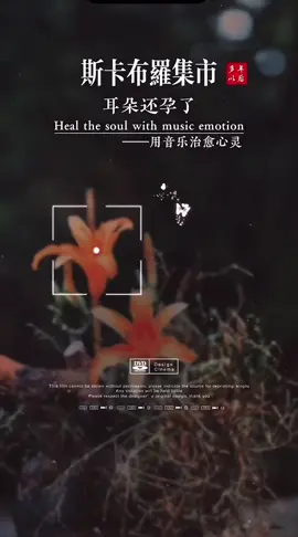 斯卡布羅集市｜莎拉.布莱曼，穿越心灵的经典名曲，治愈系。 #一首歌一个故事 #好听的音乐总是触动人的心灵 #抖音热歌推荐 #创作灵感 #音乐 #fyp 