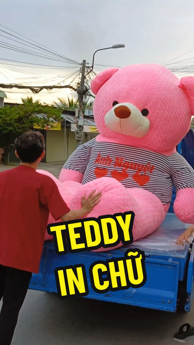 Teddy khổng lồ 🥰  #gaubong #thubong #quatangcantho #gauteddy #gaukhonglo #teddy #xuhuong 