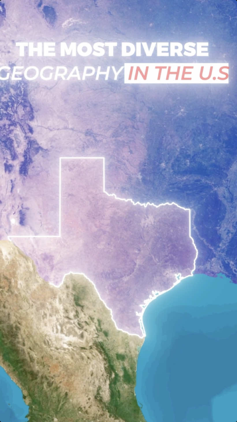 From deserts and mountains to lush forests and coastal wetlands, Texas is home to some of the most diverse landscapes in America. Explore how each unique region contributes to the Lone Star State’s incredible geographic variety. #texas #lonestarstate #hookem #geography 