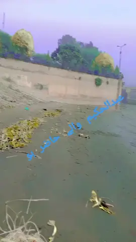 عبدالحکیم والے حاضر ہو for you virel video 📷📷📷📷📷📷📷📷📷📷📷📷📷📷📷📷📷📷📷 you virel