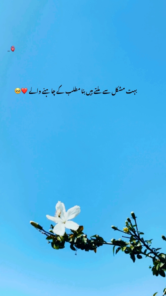 بنا مطلب کے چاہنے والے❤🌸#status #poetry #aesthetics #urdupoetry #unfreezemyacount #foryou #foryoupagе #1millionaudition #growmyaccount #fyyyyyyyyyyyyyppppppppppppppppp #fypシ゚ #status 